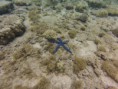 /album/galerie-de-photos-%3a-mon-amoureux-%c3%a0-mayotte-%3a-jeudi-6-mars/a3ieme-jour-iles-choasil-119-jpg/